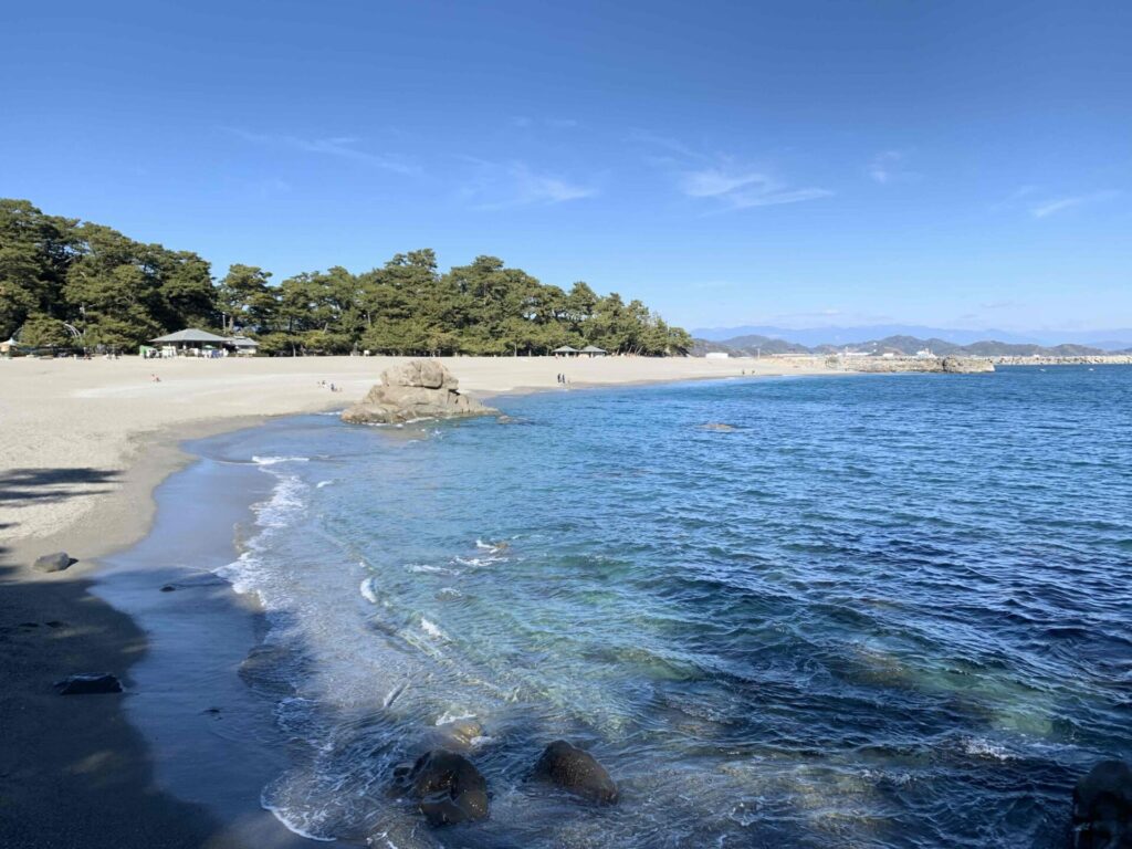 桂浜